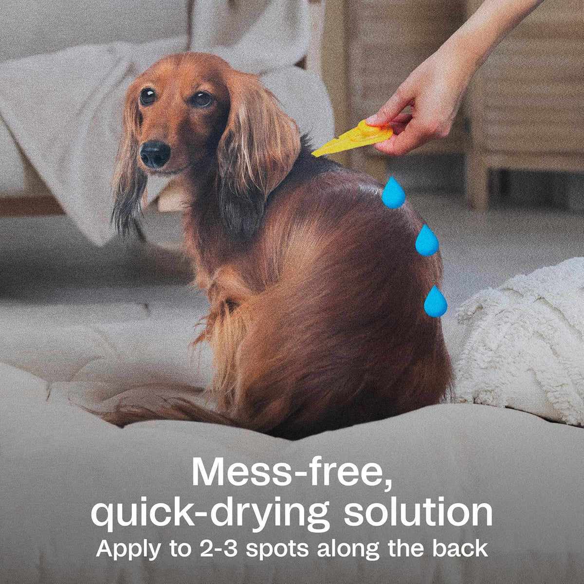 Plus Flea & Tick Prevention Spot On for Toy/Small Dogs, 3 Pack