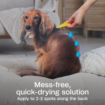 Plus Flea & Tick Prevention Spot On for Toy/Small Dogs, 3 Pack