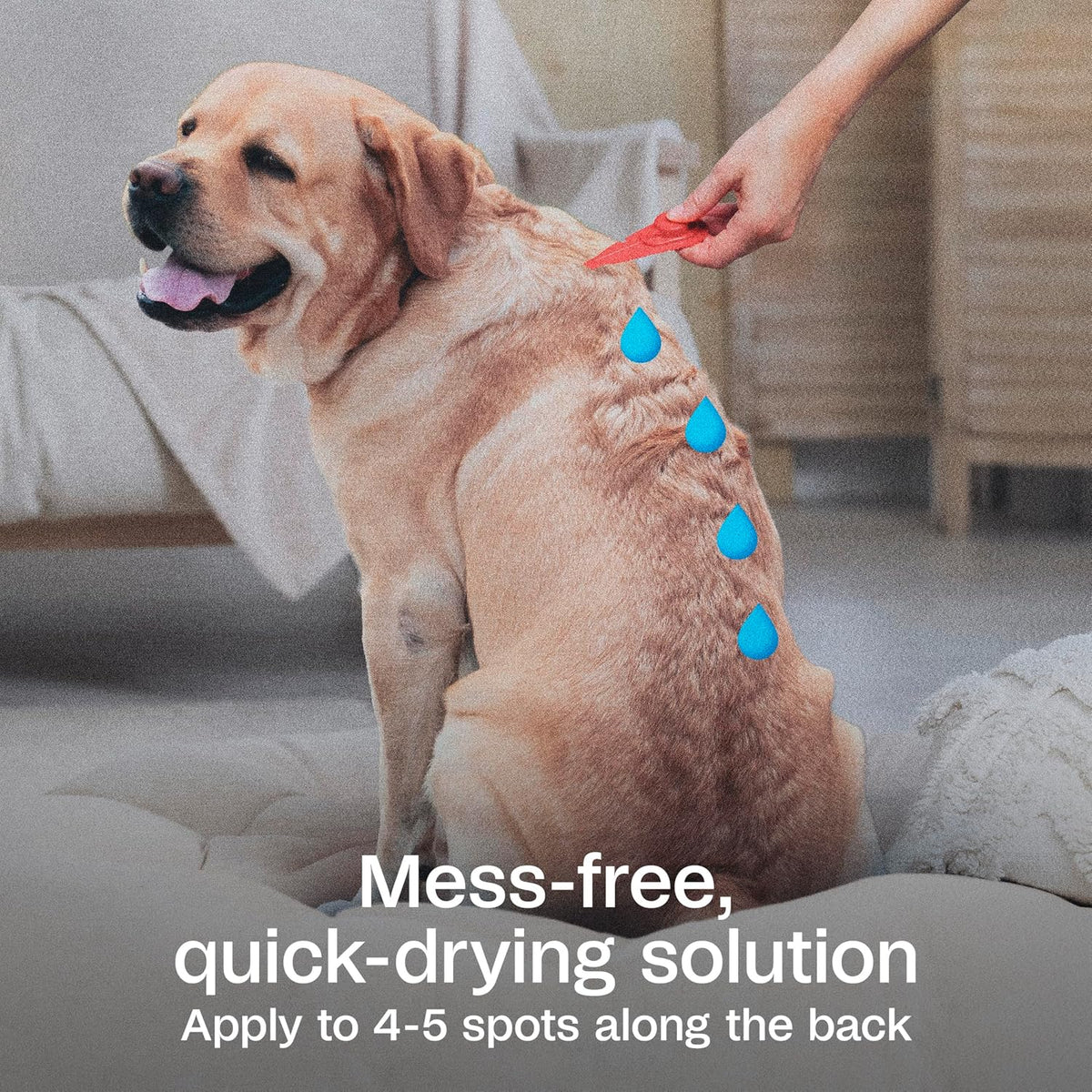 Plus Flea & Tick Prevention Spot On for Toy/Small Dogs, 3 Pack