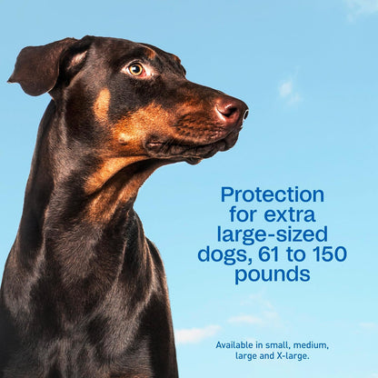 Plus Flea & Tick Prevention Spot On for Toy/Small Dogs, 3 Pack