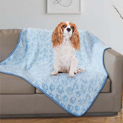 ® Premium Soft Dog Blanket Washable, 40"x32" Cat Blanket for Indoor Cats Large Medium Small Dog Puppy Essentials (Grey)