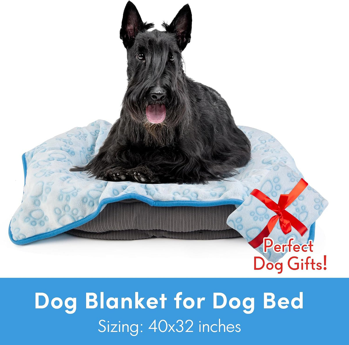 ® Premium Soft Dog Blanket Washable, 40"x32" Cat Blanket for Indoor Cats Large Medium Small Dog Puppy Essentials (Grey)
