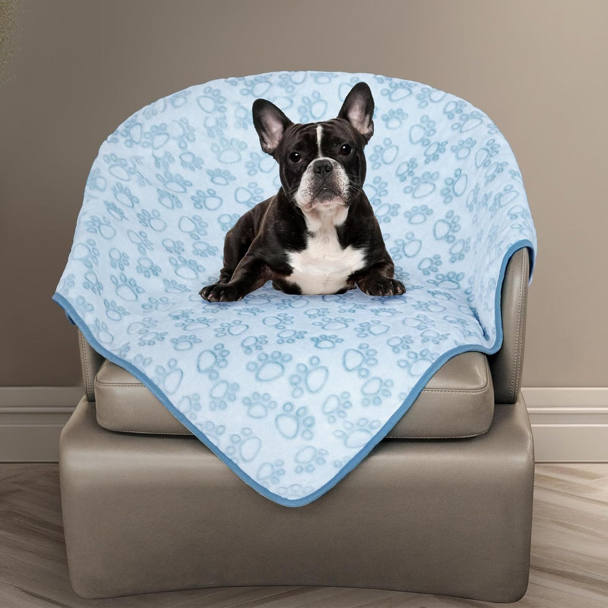 ® Premium Soft Dog Blanket Washable, 40"x32" Cat Blanket for Indoor Cats Large Medium Small Dog Puppy Essentials (Grey)