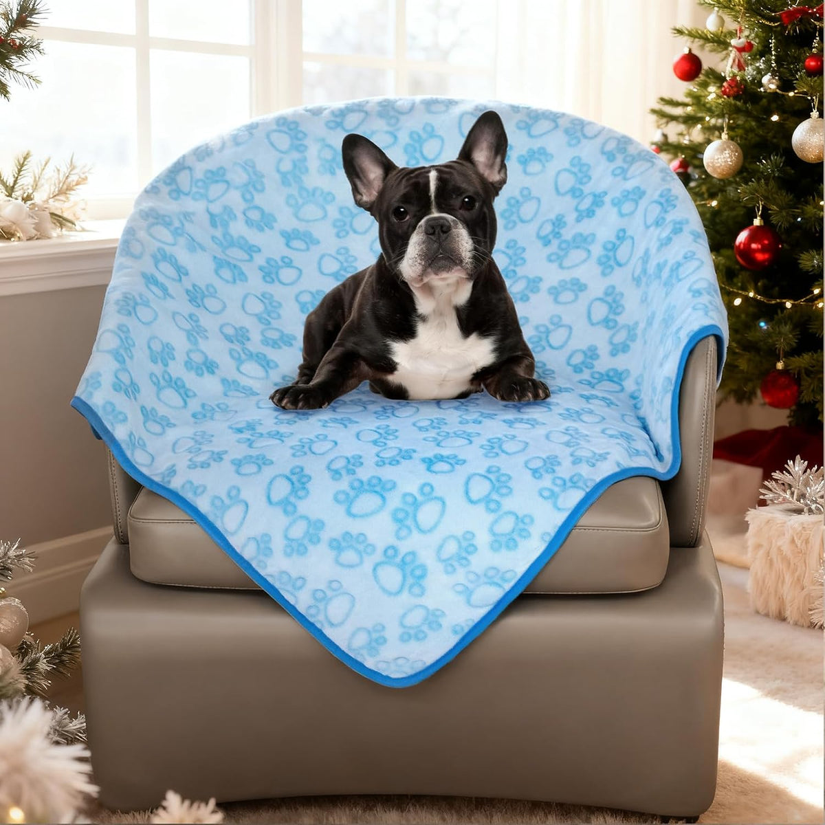 ® Premium Soft Dog Blanket Washable, 40"x32" Cat Blanket for Indoor Cats Large Medium Small Dog Puppy Essentials (Grey)