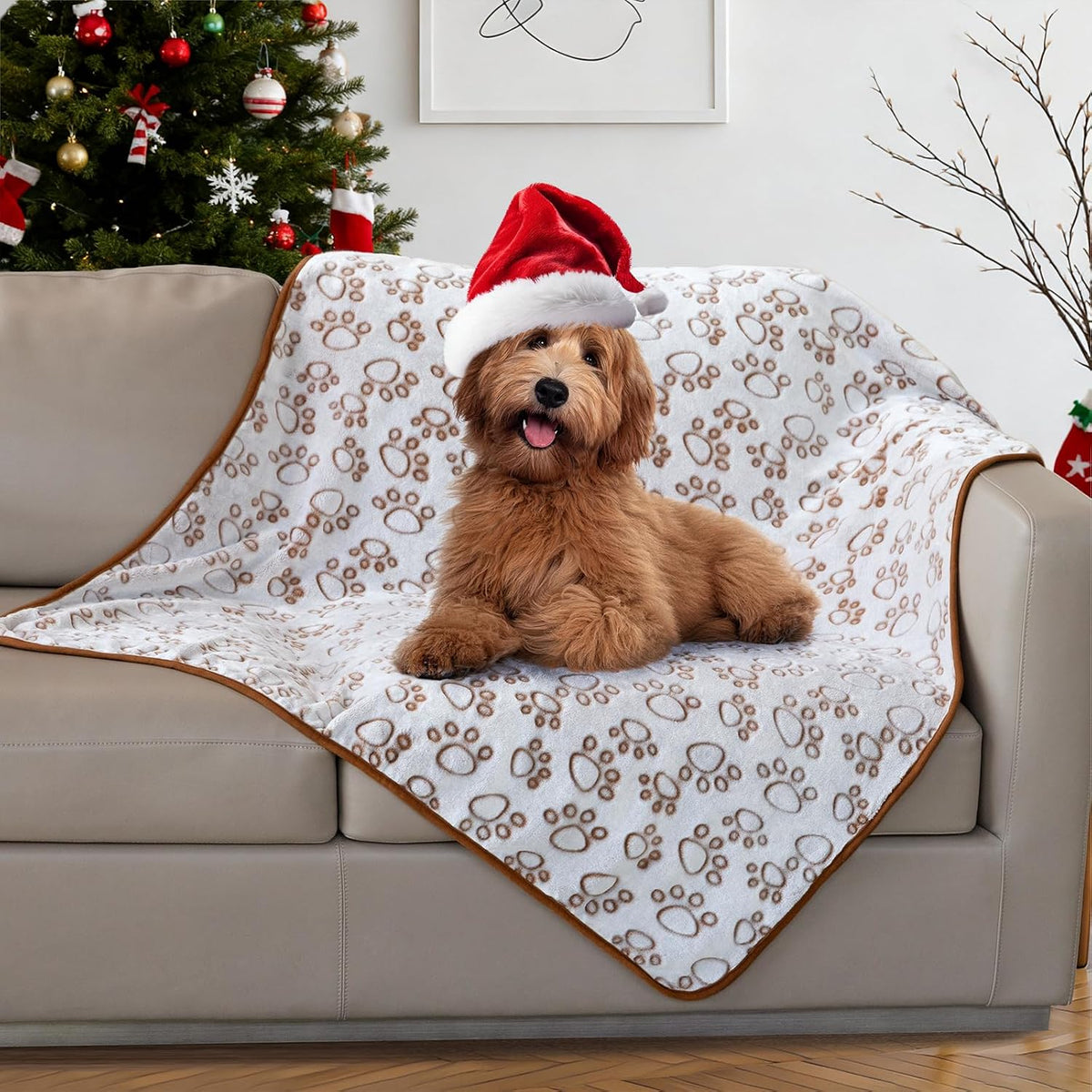 ® Premium Soft Dog Blanket Washable, 40"x32" Cat Blanket for Indoor Cats Large Medium Small Dog Puppy Essentials (Grey)