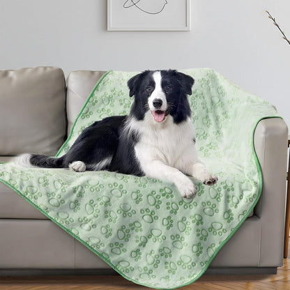 ® Premium Soft Dog Blanket Washable, 40"x32" Cat Blanket for Indoor Cats Large Medium Small Dog Puppy Essentials (Grey)