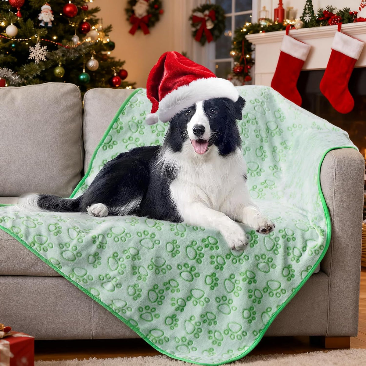 ® Premium Soft Dog Blanket Washable, 40"x32" Cat Blanket for Indoor Cats Large Medium Small Dog Puppy Essentials (Grey)