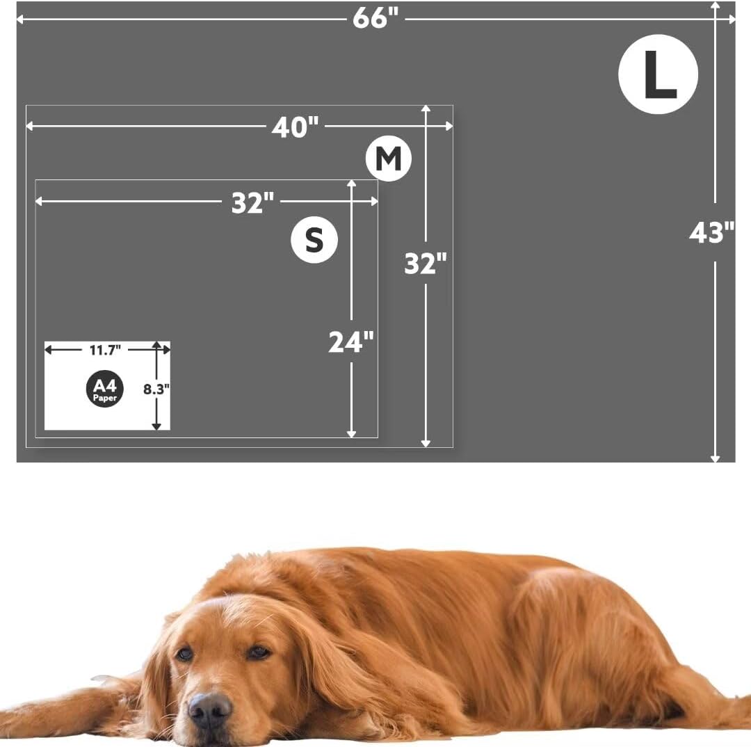 ® Premium Soft Dog Blanket Washable, 40"x32" Cat Blanket for Indoor Cats Large Medium Small Dog Puppy Essentials (Grey)