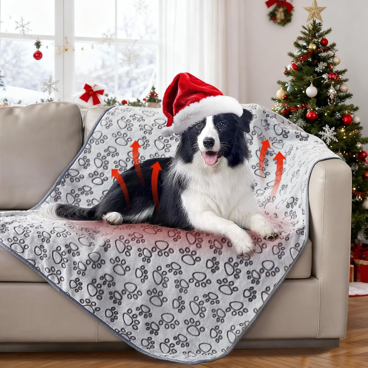® Premium Soft Dog Blanket Washable, 40"x32" Cat Blanket for Indoor Cats Large Medium Small Dog Puppy Essentials (Grey)