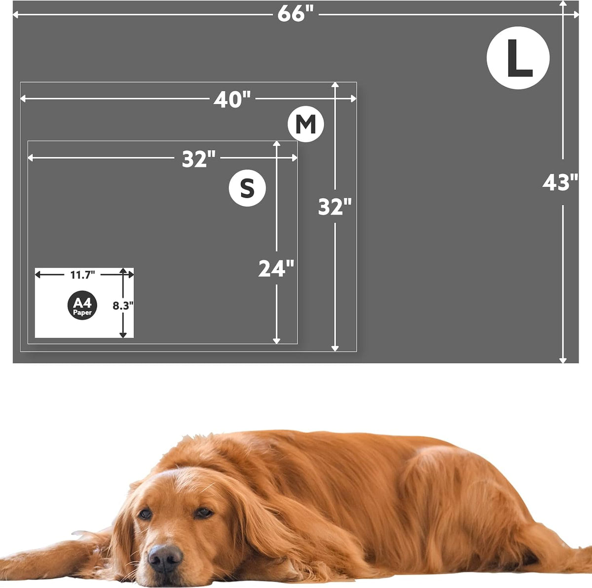 ® Premium Soft Dog Blanket Washable, 40"x32" Cat Blanket for Indoor Cats Large Medium Small Dog Puppy Essentials (Grey)