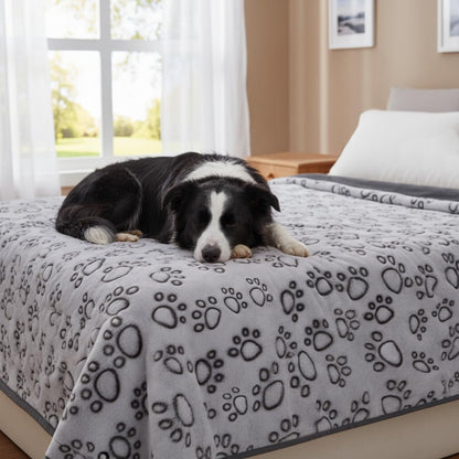 ® Premium Soft Dog Blanket Washable, 40"x32" Cat Blanket for Indoor Cats Large Medium Small Dog Puppy Essentials (Grey)