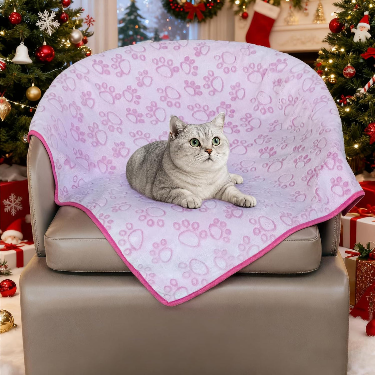 ® Premium Soft Dog Blanket Washable, 40"x32" Cat Blanket for Indoor Cats Large Medium Small Dog Puppy Essentials (Grey)