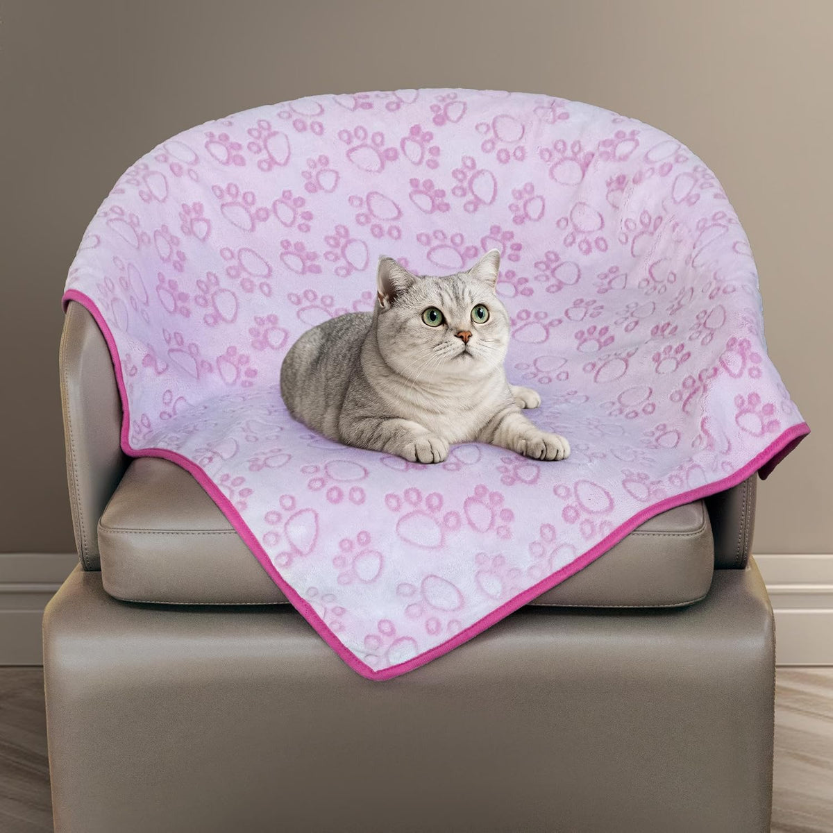 ® Premium Soft Dog Blanket Washable, 40"x32" Cat Blanket for Indoor Cats Large Medium Small Dog Puppy Essentials (Grey)