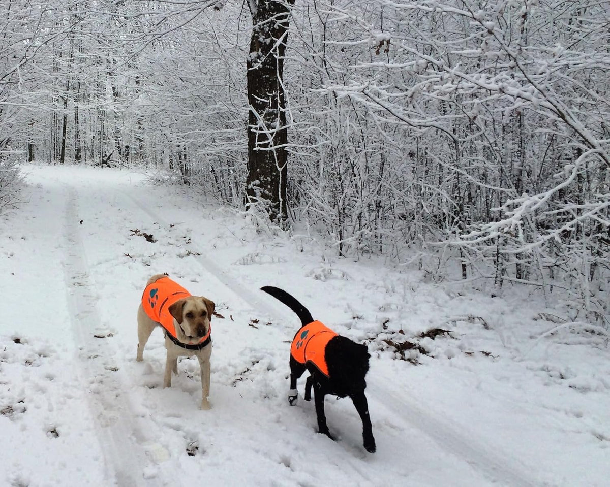 Blaze Orange Dog Vest. Reflective High Visibility in Hunting & Wooded Areas