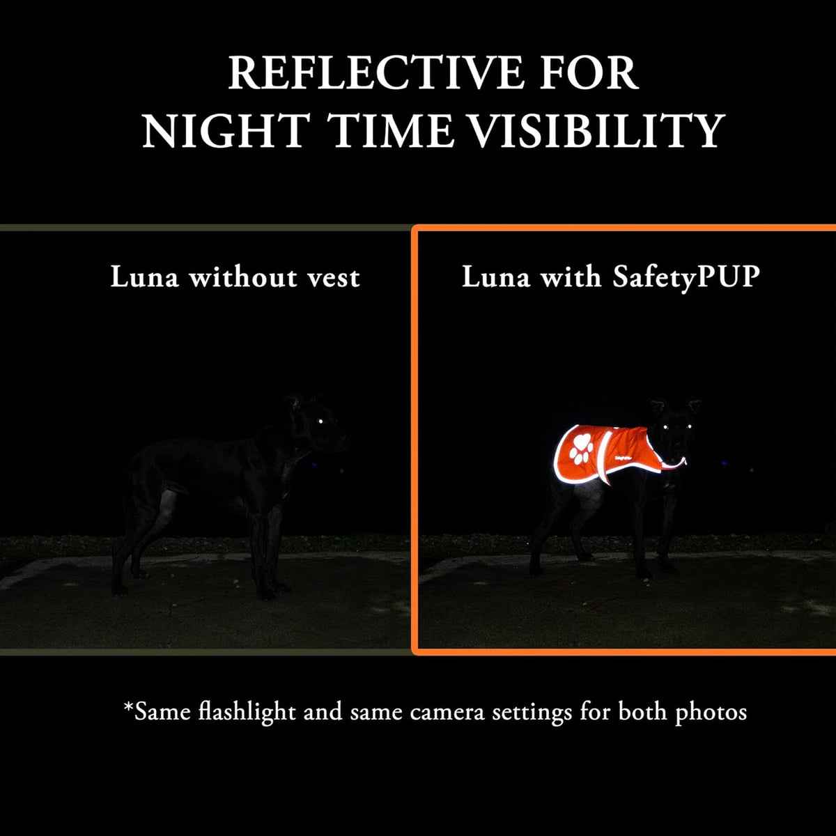Blaze Orange Dog Vest. Reflective High Visibility in Hunting & Wooded Areas