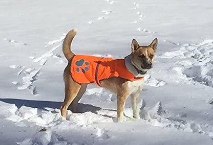 Blaze Orange Dog Vest. Reflective High Visibility in Hunting & Wooded Areas