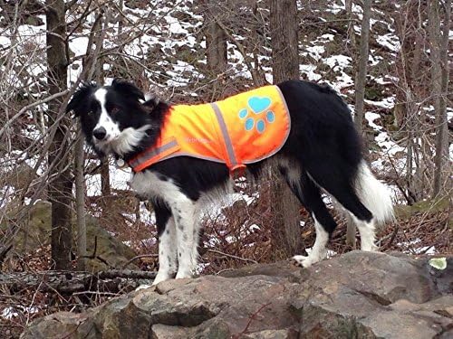 Blaze Orange Dog Vest. Reflective High Visibility in Hunting & Wooded Areas