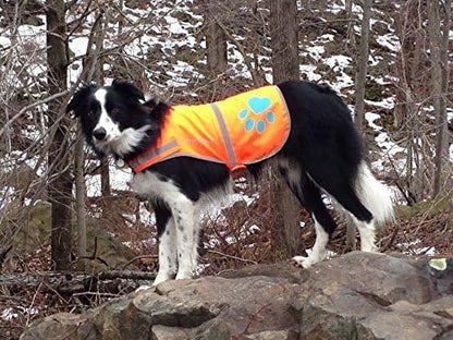 Blaze Orange Dog Vest. Reflective High Visibility in Hunting & Wooded Areas