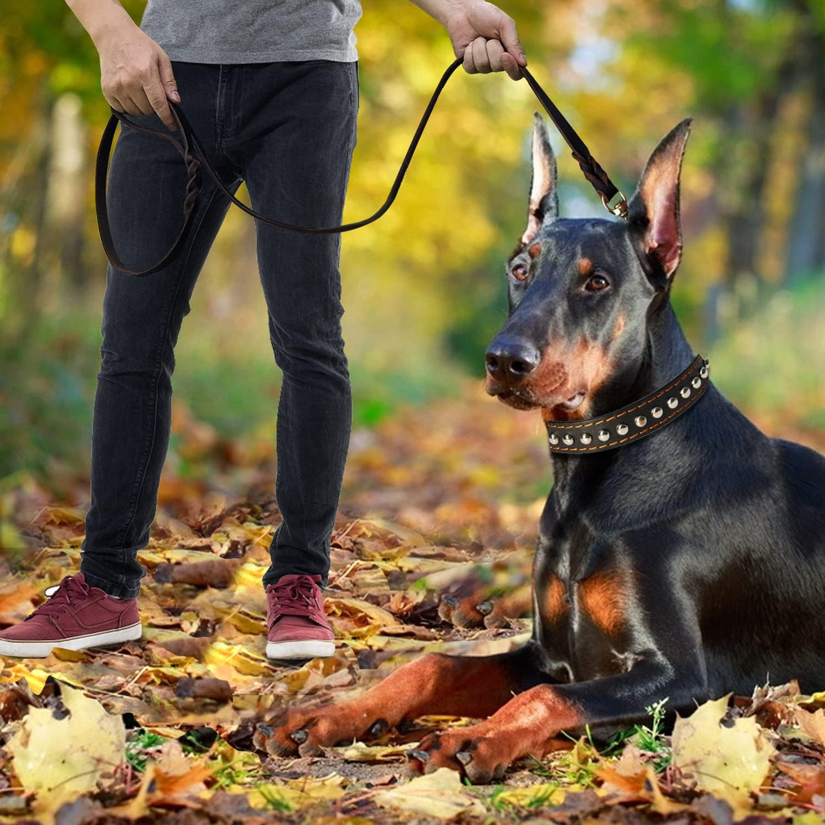 Leather Dog Leash 8ft, Heavy Duty Genuine Leather Braided Dog Training Leash, Soft and Strong Pet Lead for Large, Medium Dogs