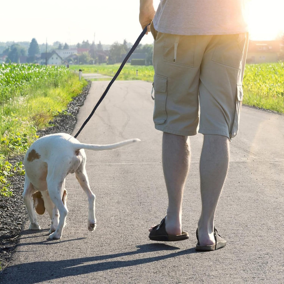 Leather Dog Leash 8ft, Heavy Duty Genuine Leather Braided Dog Training Leash, Soft and Strong Pet Lead for Large, Medium Dogs