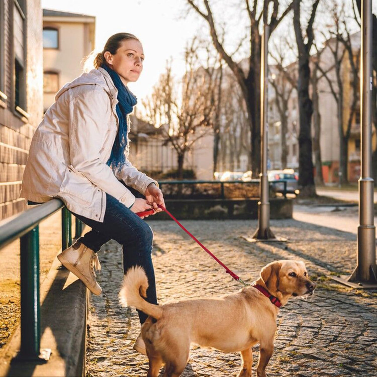 Leather Dog Leash 8ft, Heavy Duty Genuine Leather Braided Dog Training Leash, Soft and Strong Pet Lead for Large, Medium Dogs