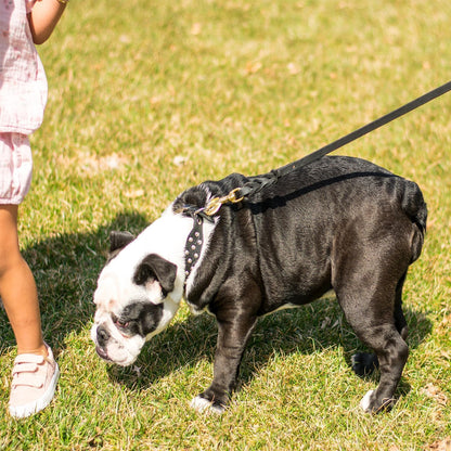 Leather Dog Leash 8ft, Heavy Duty Genuine Leather Braided Dog Training Leash, Soft and Strong Pet Lead for Large, Medium Dogs