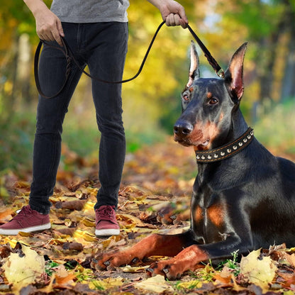 Leather Dog Leash 8ft, Heavy Duty Genuine Leather Braided Dog Training Leash, Soft and Strong Pet Lead for Large, Medium Dogs