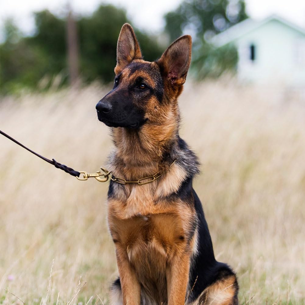 Leather Dog Leash 8ft, Heavy Duty Genuine Leather Braided Dog Training Leash, Soft and Strong Pet Lead for Large, Medium Dogs