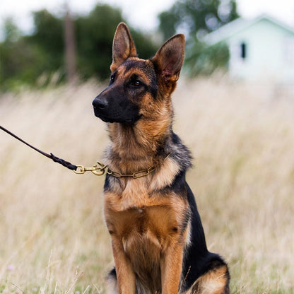 Leather Dog Leash 8ft, Heavy Duty Genuine Leather Braided Dog Training Leash, Soft and Strong Pet Lead for Large, Medium Dogs