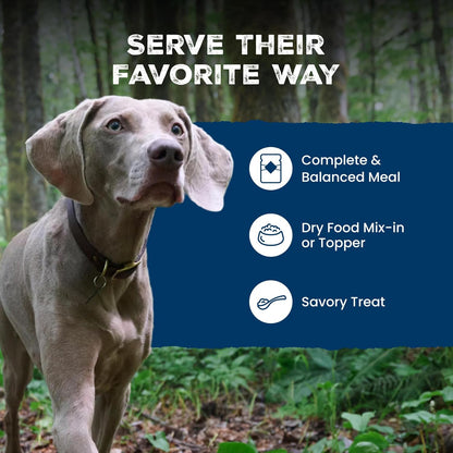 Blue Buffalo Wilderness Turkey & Chicken Senior Wet Dog Food, 12.5 oz, 12pk