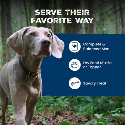 Blue Buffalo Wilderness Turkey & Chicken Senior Wet Dog Food, 12.5 oz, 12pk