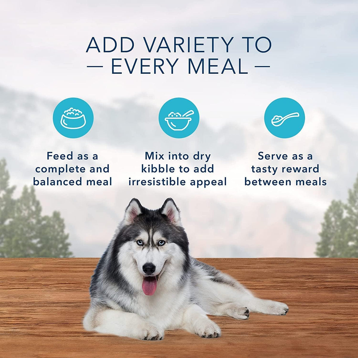 Blue Buffalo Wilderness Turkey & Chicken Senior Wet Dog Food, 12.5 oz, 12pk