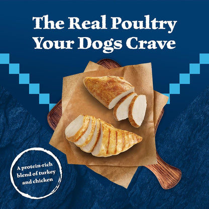 Blue Buffalo Wilderness Turkey & Chicken Senior Wet Dog Food, 12.5 oz, 12pk