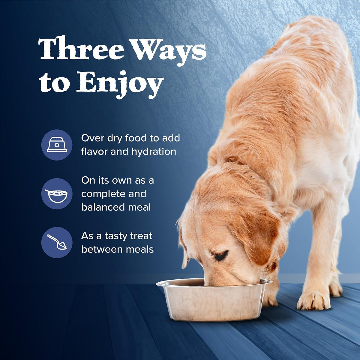Blue Buffalo Wilderness Turkey & Chicken Senior Wet Dog Food, 12.5 oz, 12pk