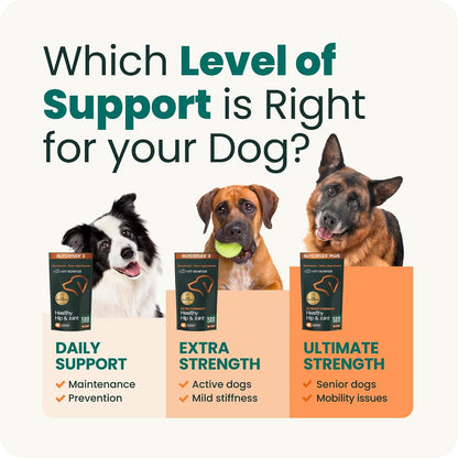 VetriScience Extra Strength Healthy Hip & Joint for Dogs, Chicken, 120ct
