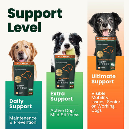 VetriScience Extra Strength Healthy Hip & Joint for Dogs, Chicken, 120ct