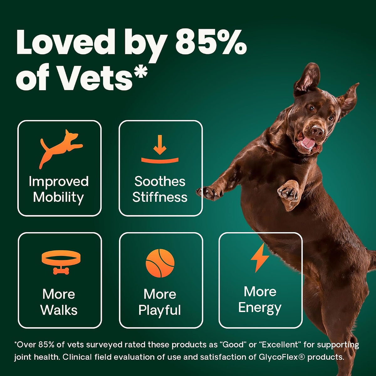 VetriScience Extra Strength Healthy Hip & Joint for Dogs, Chicken, 120ct