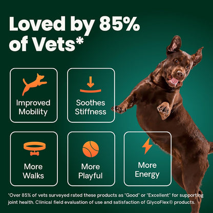 VetriScience Extra Strength Healthy Hip & Joint for Dogs, Chicken, 120ct