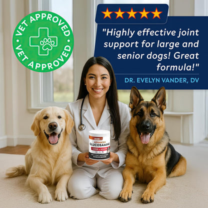 Advanced Glucosamine for Dogs, Collagen&Green Lipped Mussel