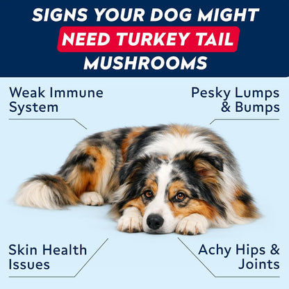 Advanced Glucosamine for Dogs, Collagen&Green Lipped Mussel