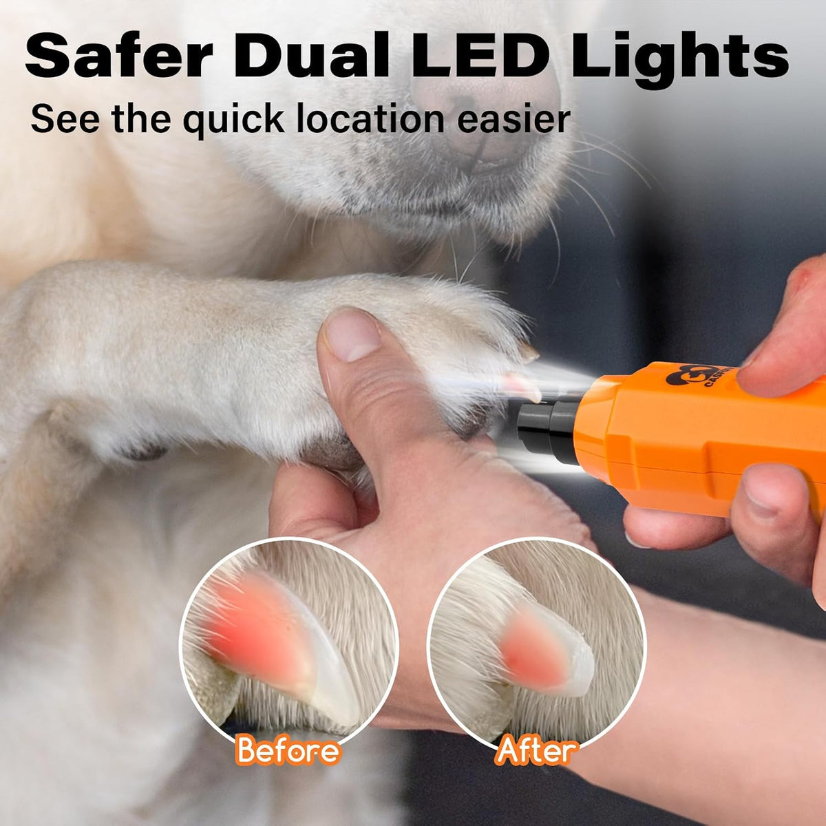 6-Speed Dog Nail Grinder - Newest Enhanced Pet Nail Grinder Super Quiet Rechargeable Electric Dog Nail Trimmer Painless Paws Grooming & Smoothing Tool for Large Medium Small Dogs (Blue)