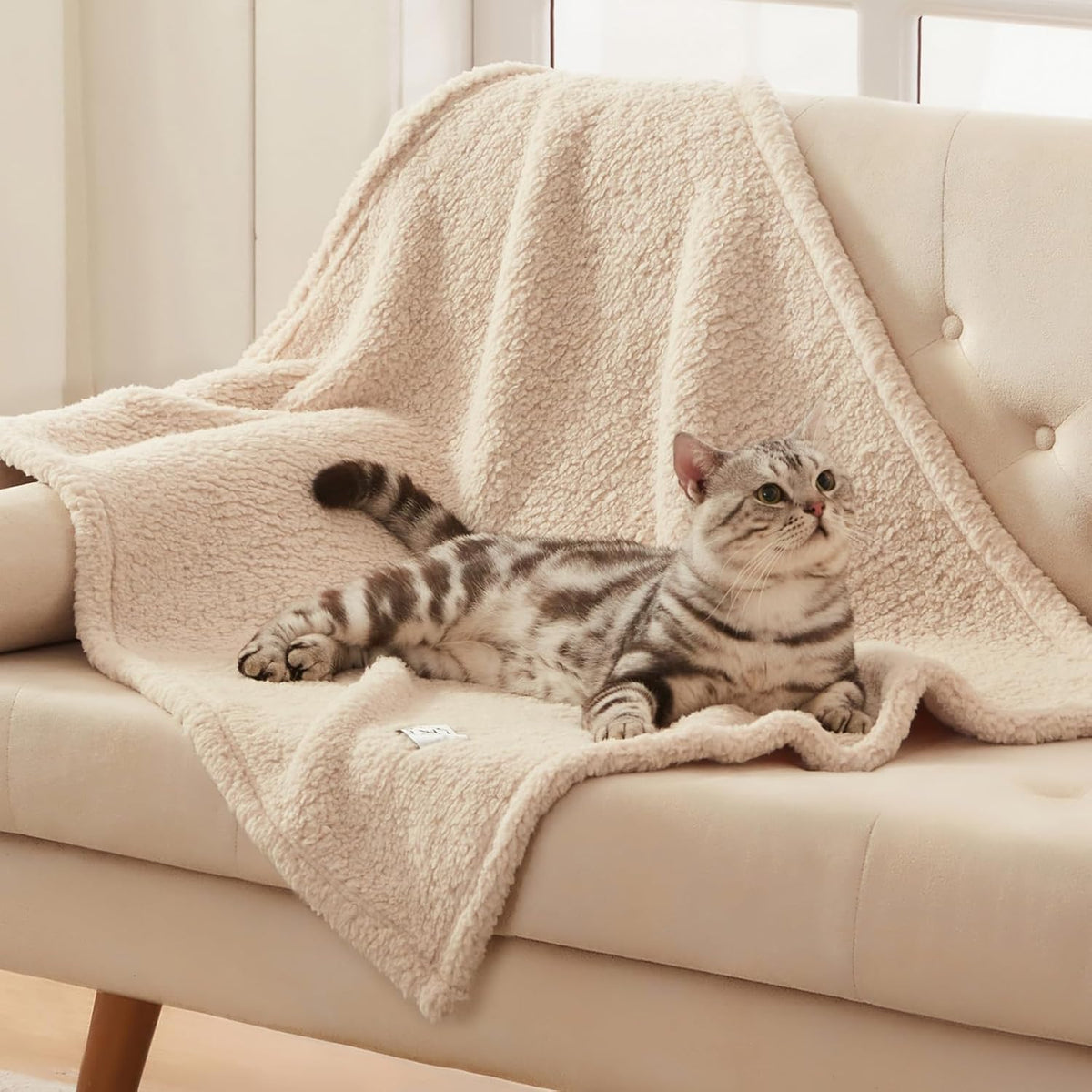 1 Pack 3 Calming Blankets Fluffy Premium Fleece Pet Blanket Soft Sherpa Throw for Dog Puppy Cat Beige Medium (30" x20'')