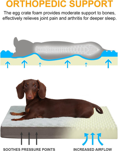 KSIIA Orthopedic Dog Bed for Large Dogs with Waterproof Lining, Grey, 35x22 | Deluxe Soft Plush Dog Crate Bed, Washable Pet Mat with Removable Cover & Egg Crate Foam for Large Dogs Sleeping & Relaxing