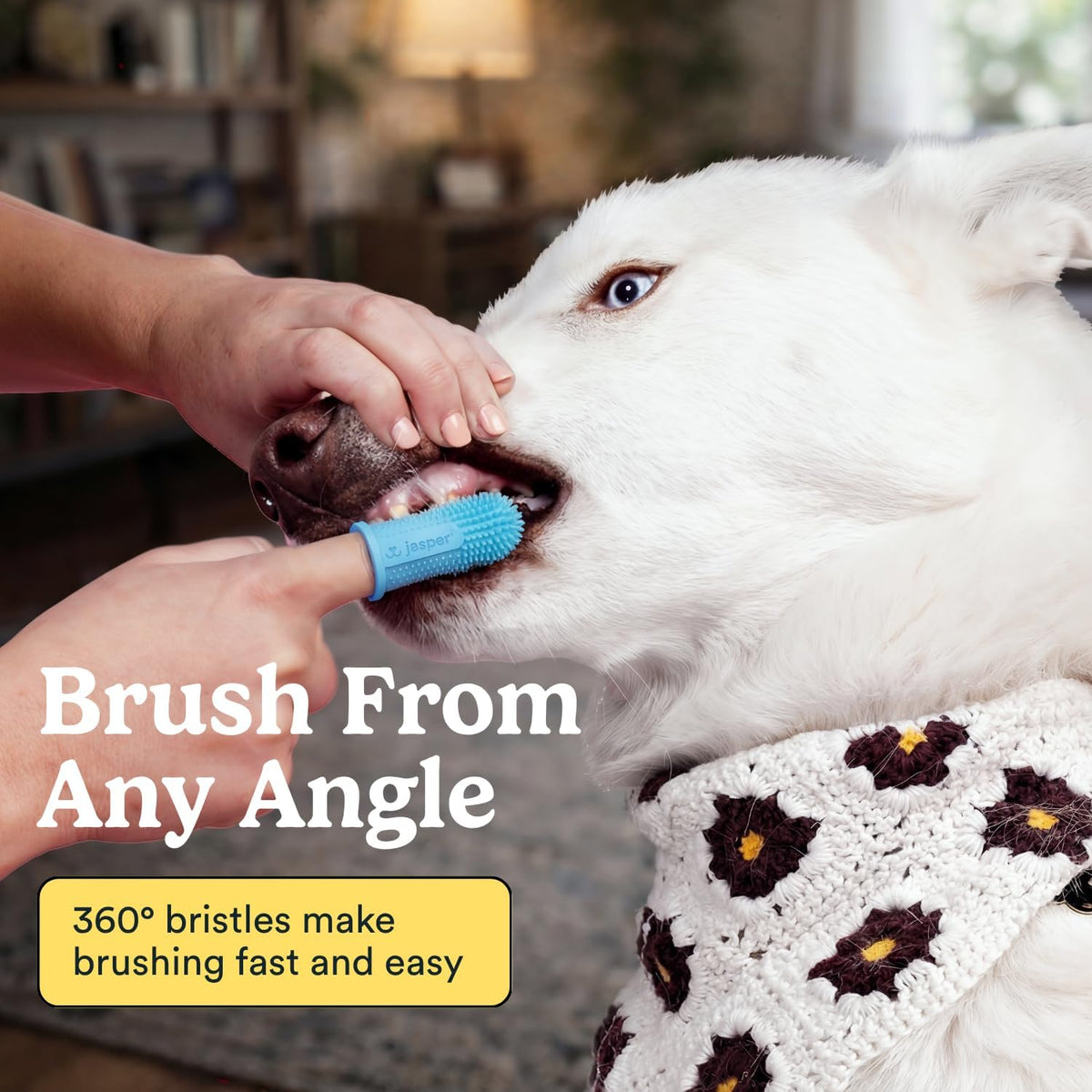Jasper Dog Toothbrush, 360° Finger Toothbrush for Dogs & Cats, Blue | 12x More Bristles, Teeth Cleaning Kit for Small & Large Pets, Toothpaste Not Included, Fights Bad Breath, Extra Soft Silicone