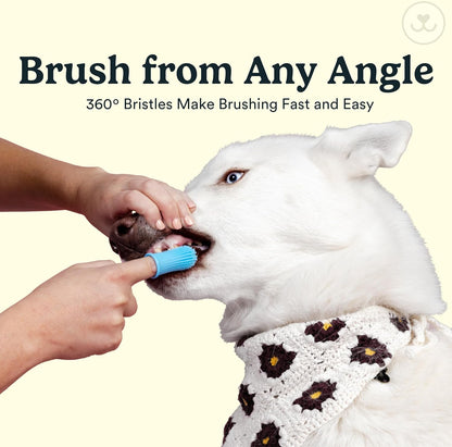 Jasper Dog Toothbrush, 360° Finger Toothbrush for Dogs & Cats, Blue | 12x More Bristles, Teeth Cleaning Kit for Small & Large Pets, Toothpaste Not Included, Fights Bad Breath, Extra Soft Silicone