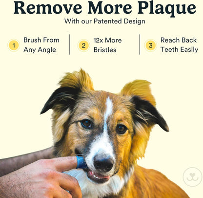 Jasper Dog Toothbrush, 360° Finger Toothbrush for Dogs & Cats, Blue | 12x More Bristles, Teeth Cleaning Kit for Small & Large Pets, Toothpaste Not Included, Fights Bad Breath, Extra Soft Silicone