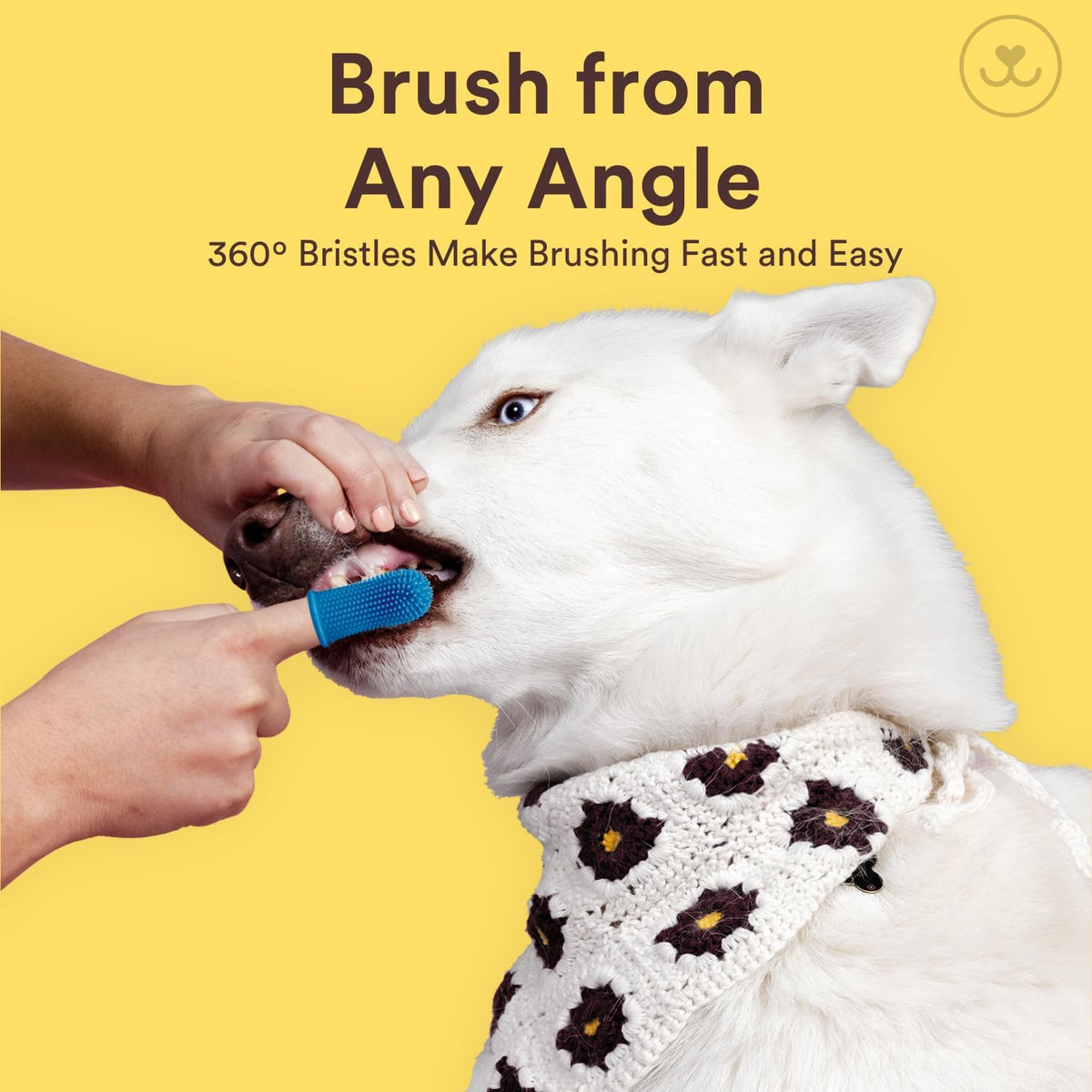 Jasper Dog Toothbrush, 360° Finger Toothbrush for Dogs & Cats, Blue | 12x More Bristles, Teeth Cleaning Kit for Small & Large Pets, Toothpaste Not Included, Fights Bad Breath, Extra Soft Silicone