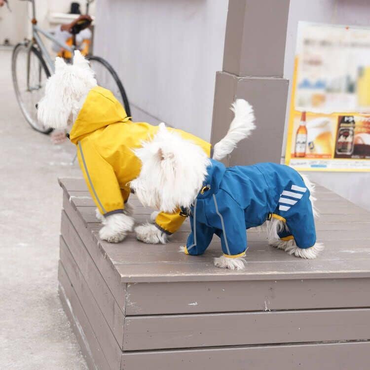 Dog Raincoat, Waterproof Dog Rain Jacket with Hood, Rain Coat with Leash Hole, Reflective Strap for Small Medium Dogs, Outdoor Adventures/Walking Lightweight Puppy(Blue,S)