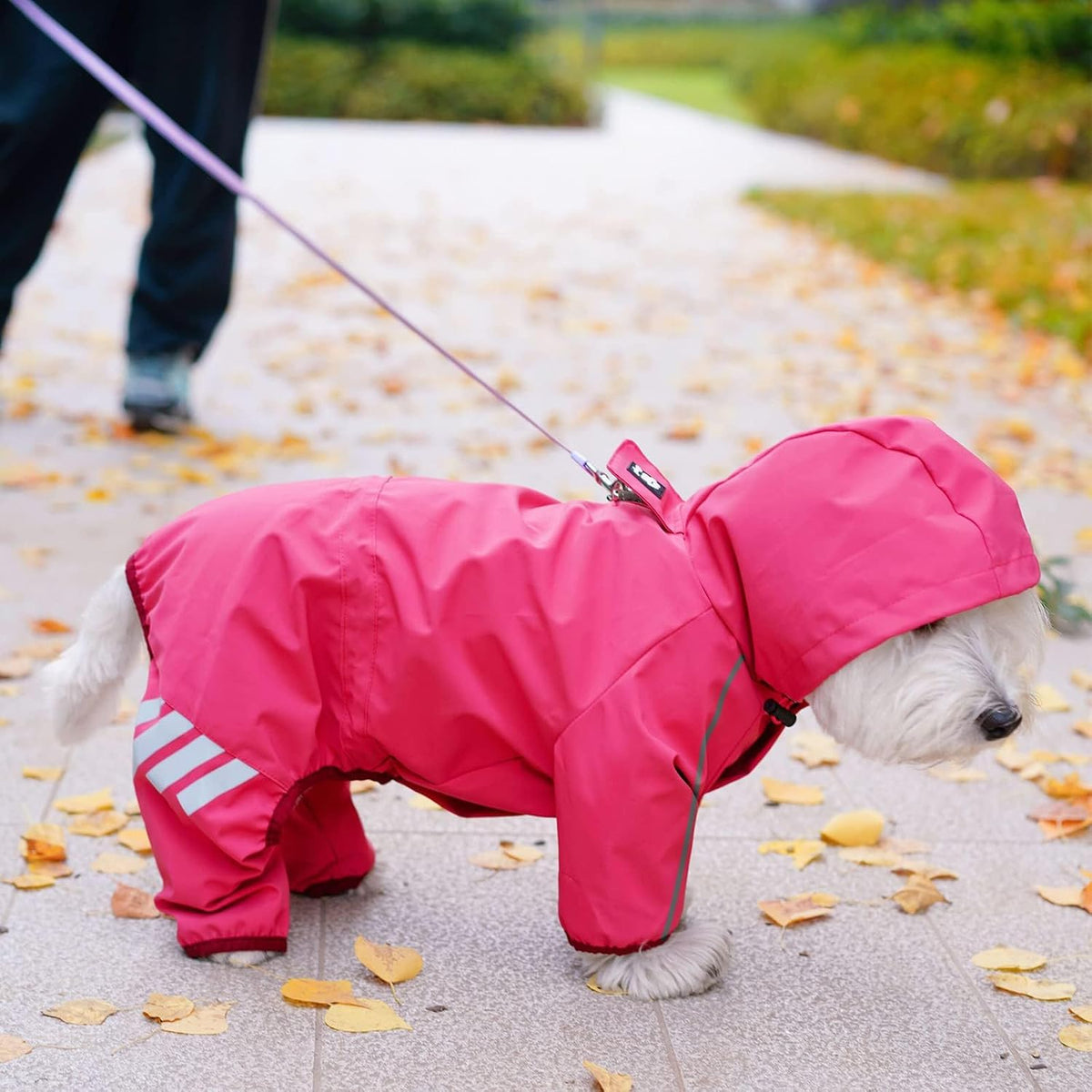 Dog Raincoat, Waterproof Dog Rain Jacket with Hood, Rain Coat with Leash Hole, Reflective Strap for Small Medium Dogs, Outdoor Adventures/Walking Lightweight Puppy(Blue,S)