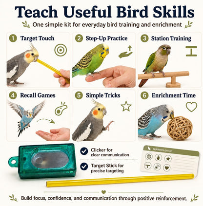 Bird Clicker Training Kit Box Clicker & Target Stick, Red